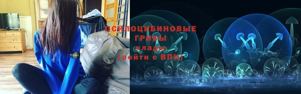 прущие крисы Алексеевка