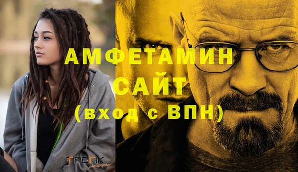 амф Алексин