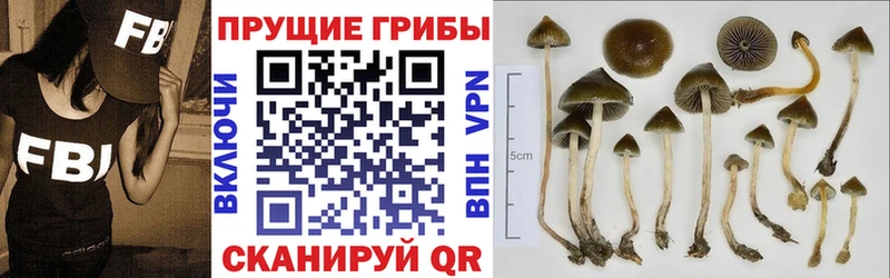Галлюциногенные грибы Magic Shrooms  купить наркоту  Пролетарск 